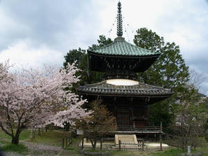 P4087152shuusei.JPG
