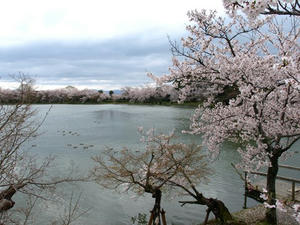 P4087192shuusei.JPG