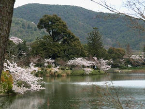 P4087194shuusei.JPG