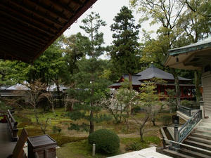 P4087202shuusei.JPG