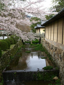P4087213shuusei.JPG