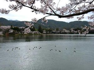 P4087208shuusei.JPG