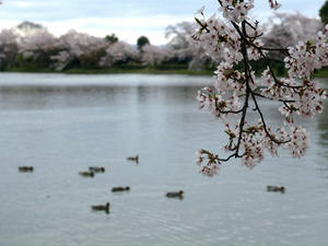 P4087215shuusei.JPG