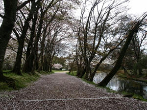 P4087231shuusei.JPG