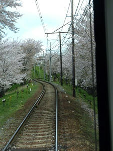 P4087292shuusei.JPG