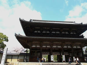 P4087297shuusei.JPG