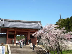 P4087300shuusei.JPG