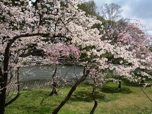 P4087307shuusei.JPG