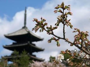 P4087319shuusei.JPG