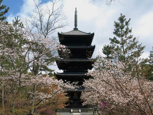 P4087336shuusei.JPG
