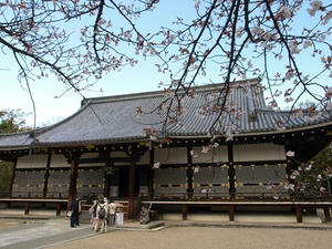 P4087344shuusei.JPG