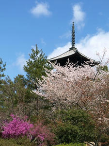 P4087324shuusei.JPG