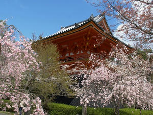 P4087356shuusei.JPG
