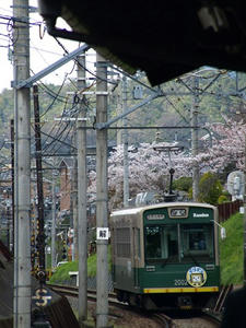 P4087389shuusei.JPG