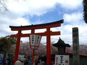 P4087390shuusei.JPG