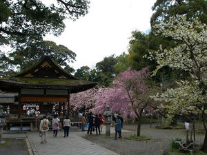 P4087400shuusei.JPG