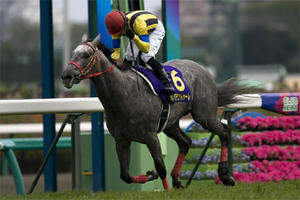 20080420-00000010-kiba-horse-view-000.jpg