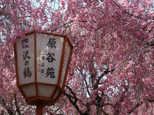 P4087462shuusei.JPG