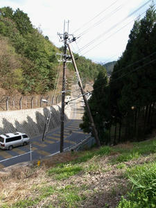 P4087530shuusei.JPG