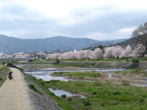 P4087532shuusei.JPG