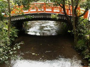 P4087572shuusei.JPG
