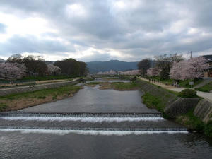 P4087589shuusei.JPG