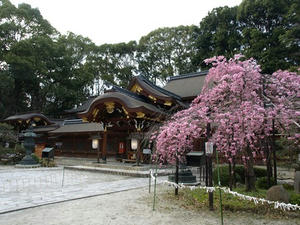 P4087606shuusei.JPG