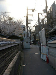 P4087623shuusei.JPG