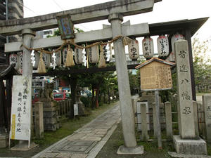 P4087626shuusei.JPG