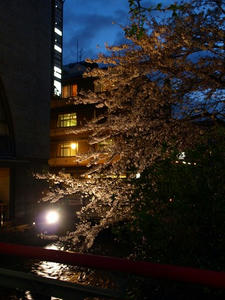 P4087638shuusei.JPG