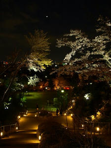 P4087659shuusei.JPG