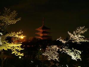 P4087661shuusei.JPG