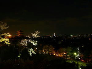 P4087665shuusei.JPG