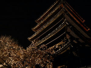 P4087770shuusei.JPG