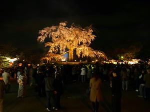 P4087776shuusei.JPG