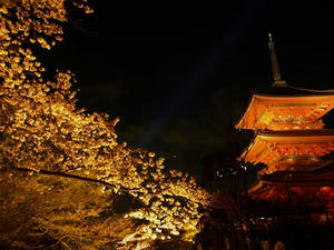 P4087703shuusei.JPG