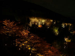 P4087709shuusei.JPG