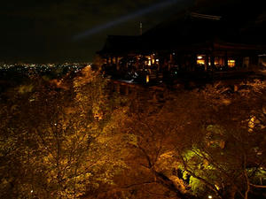 P4087728shuusei.JPG
