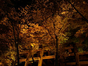 P4087739shuusei.JPG