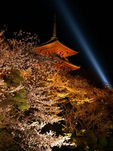 P4087754shuusei.JPG