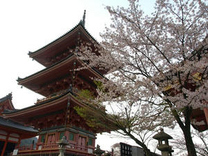 P4097816shuusei.JPG