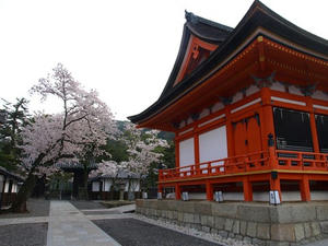 P4097822shuusei.JPG