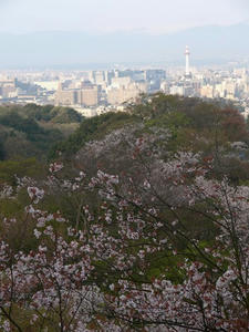 P4097828shuusei.JPG