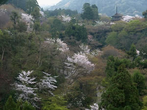 P4097827shuusei.JPG