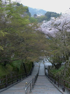 P4097836shuusei.JPG