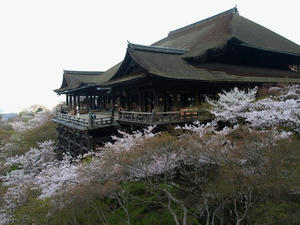 P4097838shuusei.JPG