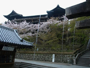 P4097852shuusei.JPG