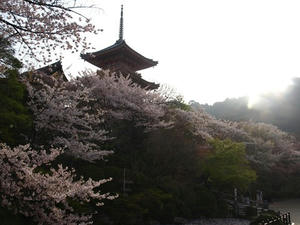 P4097869shuusei.JPG