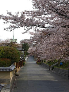 P4097883shuusei.JPG