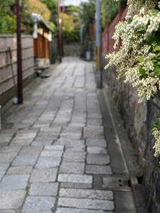 P4097885shuusei.JPG